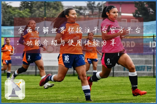 全面了解世界杯投注平台官方平台：功能介绍与使用体验分享