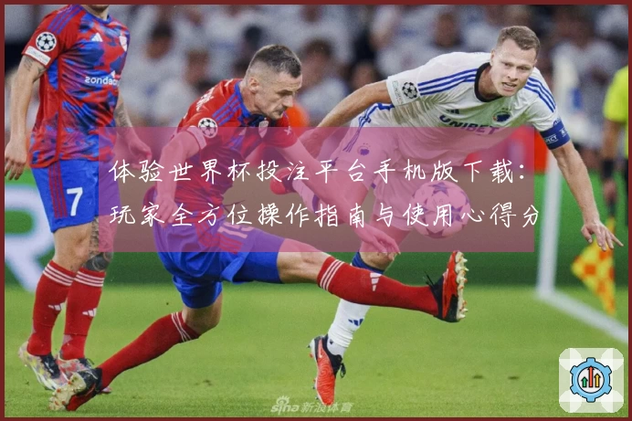 体验世界杯投注平台手机版下载：玩家全方位操作指南与使用心得分享