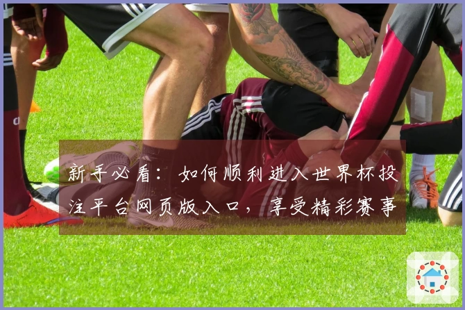 新手必看：如何顺利进入世界杯投注平台网页版入口，享受精彩赛事体验