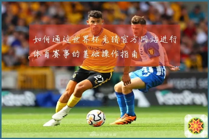 如何通过世界杯竞猜官方网站进行体育赛事的基础操作指南