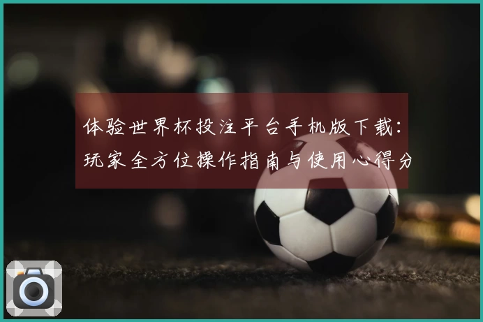 体验世界杯投注平台手机版下载：玩家全方位操作指南与使用心得分享