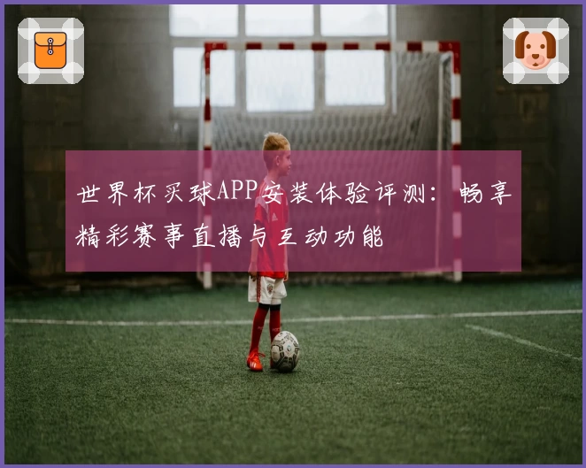 世界杯买球APP安装体验评测：畅享精彩赛事直播与互动功能